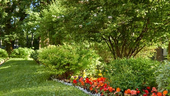 Tremenheere Sculpture Gardens