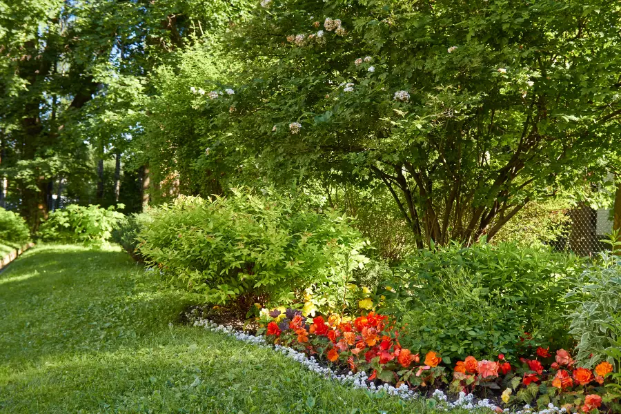 Tremenheere Sculpture Gardens