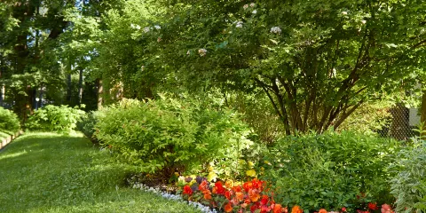 Tremenheere Sculpture Gardens