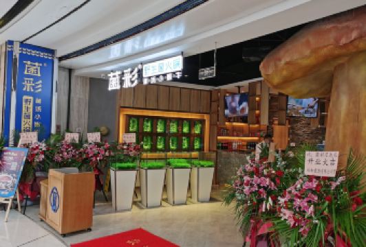 JUNCAI WILD MUSHROOM HOT POT User Photo