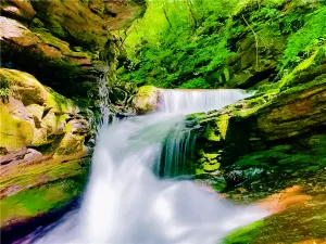 Liupan Mountain National Forest Park