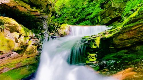 Liupanshan National Forest Park