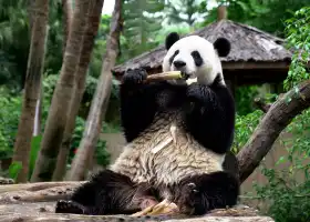 海南熱帶野生動植物園