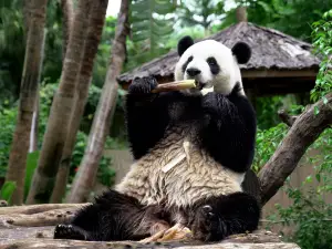 Top 10 Family-Friendly Attractions in Haikou