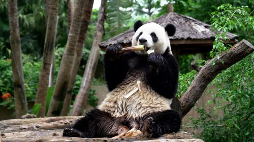 Hainan Tropical Wildlife Park