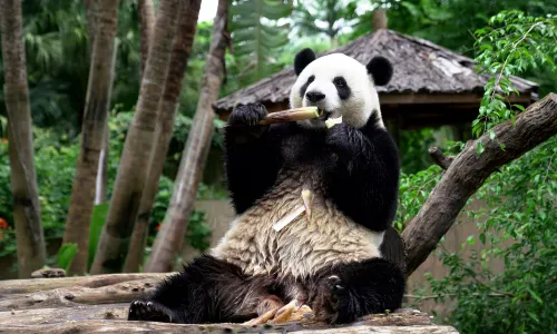 Hainan Tropical Wildlife Park And Botanical Garden