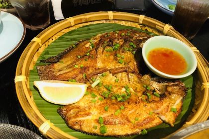 The New Garden Grove