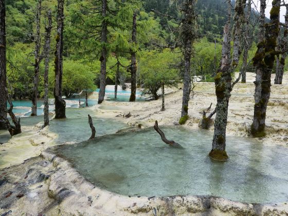 Penjing Pool