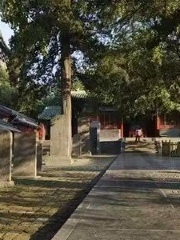 Shaolin Temple Stele Forest
