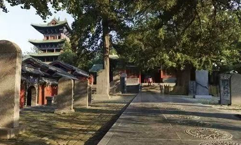 Shaolin Temple Stele Forest