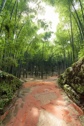 埃及航空 飛 畢節