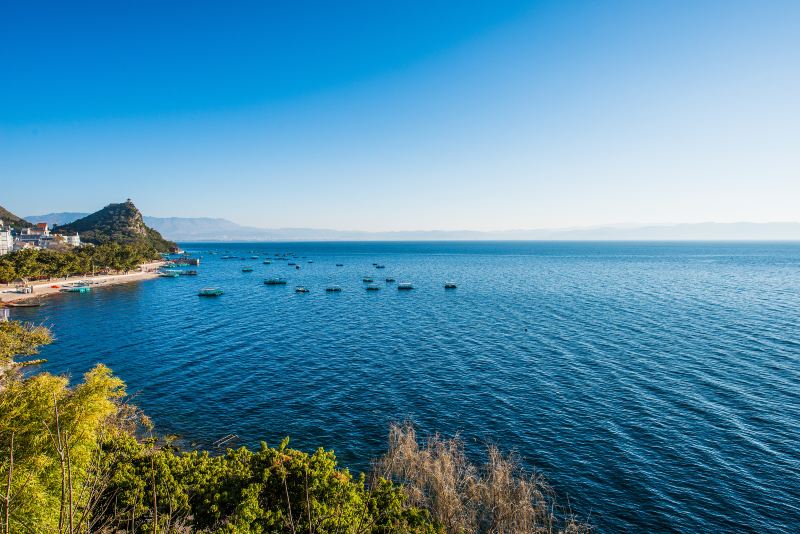 撫仙湖北岸湿地