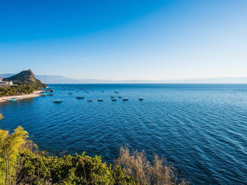 撫仙湖北岸湿地