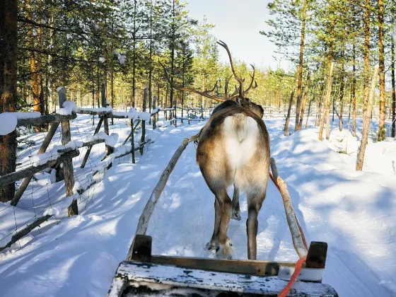 Проживание на ферме в г. Мохэ