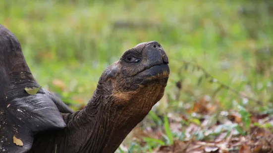 ウミガメ湾