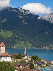 Schloss Thun