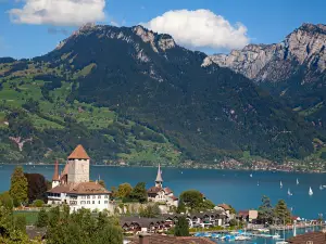Schloss Thun