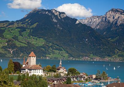 Thun Castle