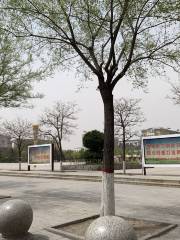 톈거 광장
