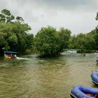 Journey to Lush greenery