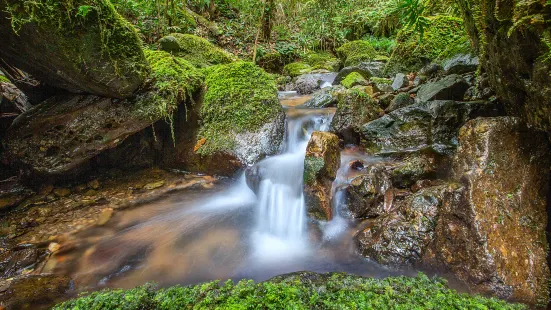 Shunhuangshan National Forest Park