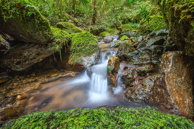 Shunhuangshan National Forest Park