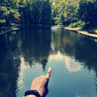 Gongqing Forest Park Shanghai Nature Bli