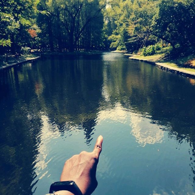 Gongqing Forest Park Shanghai Nature Bli