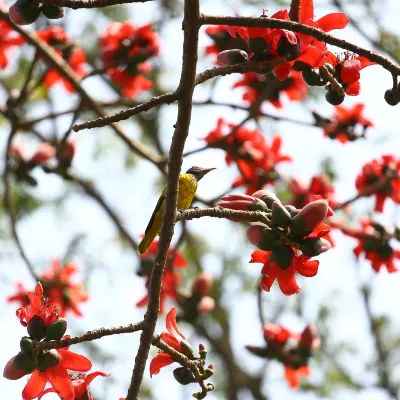 Các khách sạn ở Sylhet