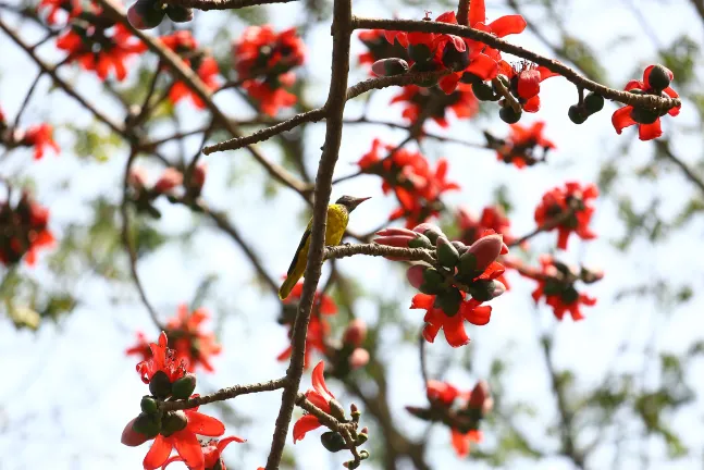 Отели с услугой баром в г. Дакка