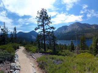 Direct flight from Albuquerque to South Lake Tahoe tickets