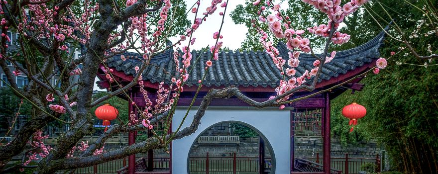 莘莊公園