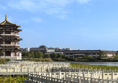 Lingwu Xihu Park