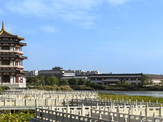 Lingwu Xihu Park