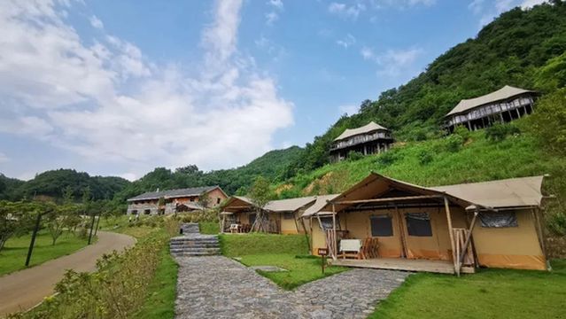Legendary Starry Sky Campground