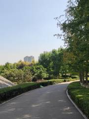 Парк водно-болотных угодий реки Цзиньцзян