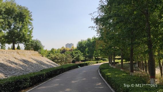 Jindihe Wetland Park