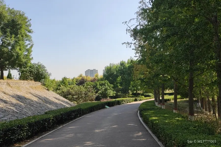 金堤河湿地公園