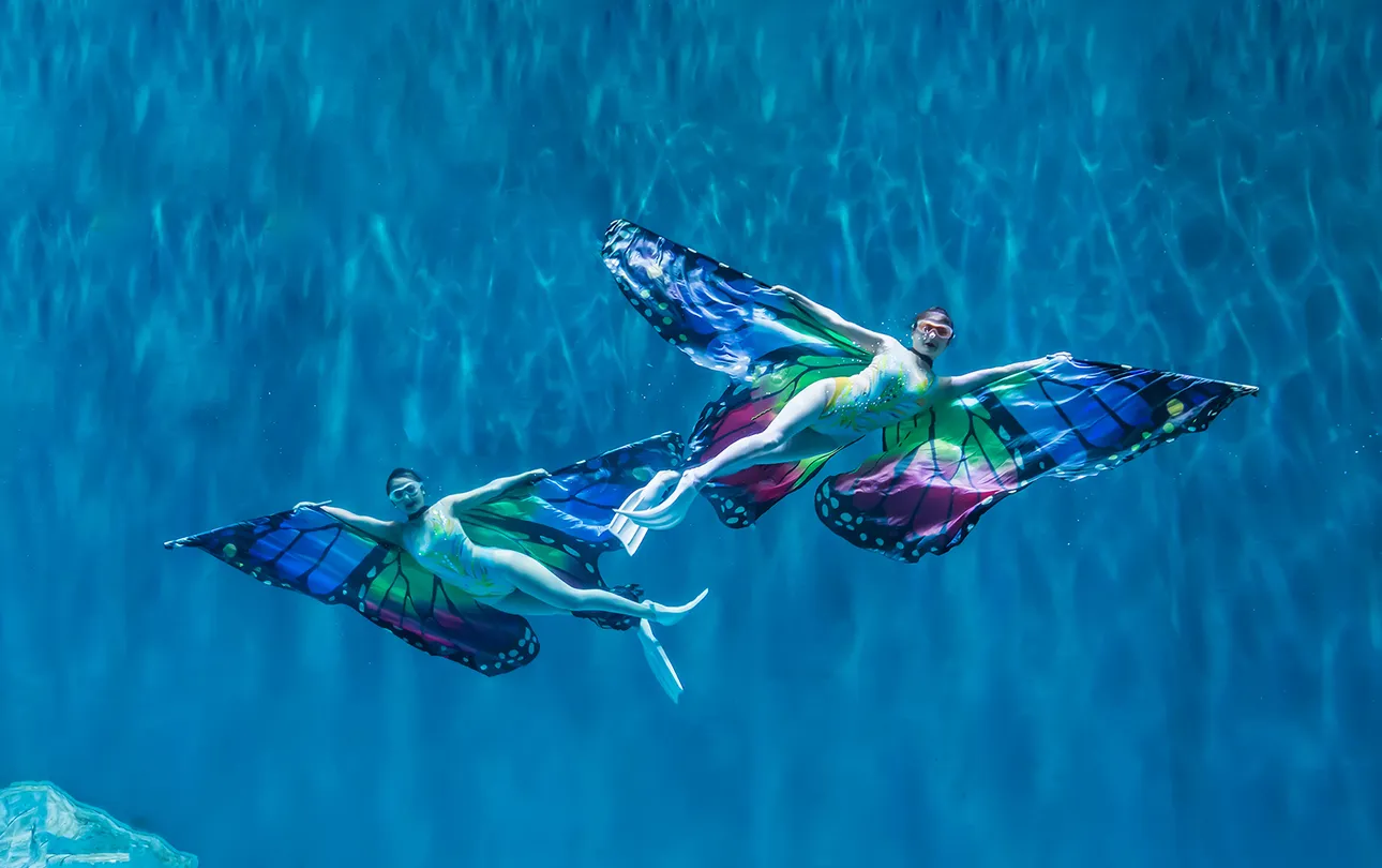 4_哈爾濱極地公園·海洋館