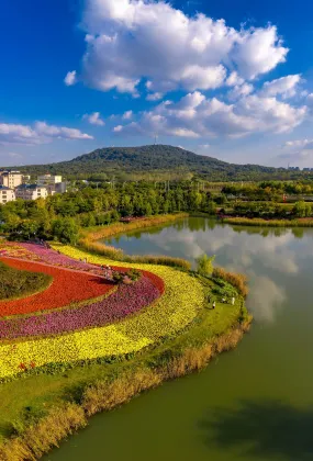 Отзывы об отеле Mingfa International Hotel