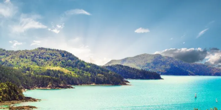 漢密爾頓島一樹山