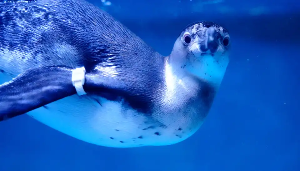 5_Daegu Aquarium