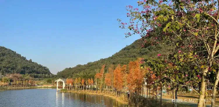 Hotels near Dutianhu Park