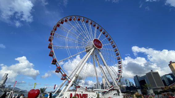 Rundgang durch das Zentrum von Hongkong – Tagesausflug mit dem Riesenrad Star Ferry und dem Man Mo-Tempel im offenen Reisebus