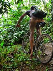 Rio Jungle Bike