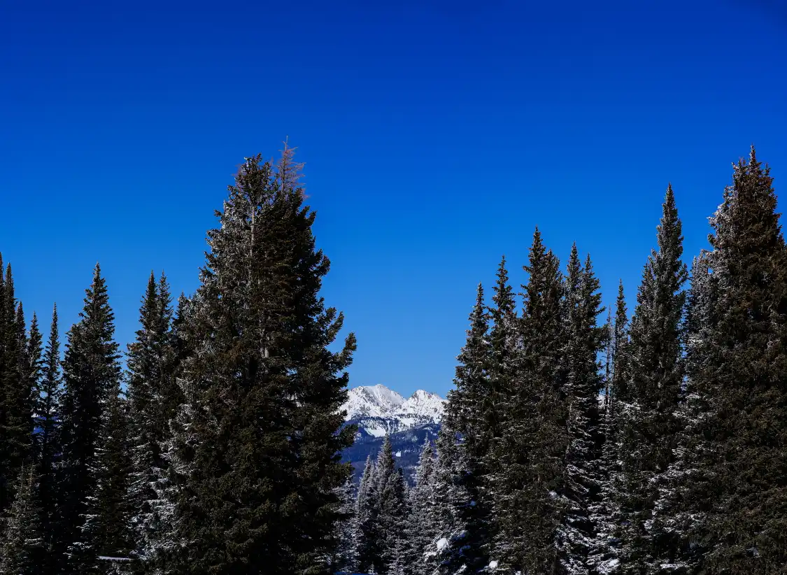 Hotels near Gore
