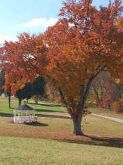 Archdale Recreation Center at Creekside Park