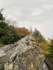 The Blowing Rock