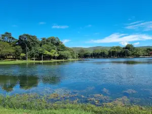 ミウトン・プラテス公園