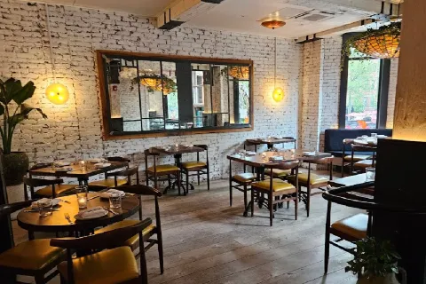 Bar Pallino